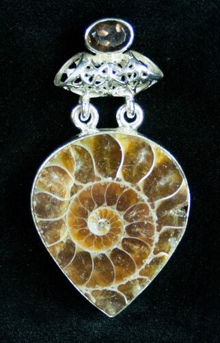 Fossil Ammonite Pendant - Sterling Silver #12064